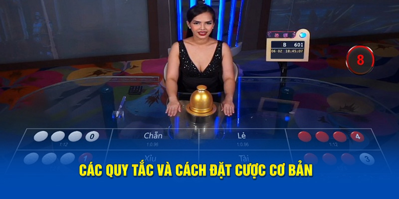 Các quy tắc và cách đặt cược cơ bản