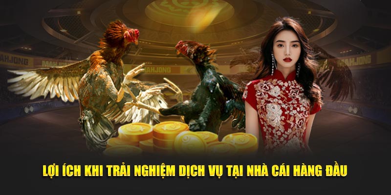 Lợi ích khi trải nghiệm dịch vụ tại nhà cái hàng đầu