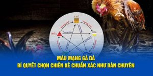 màu mạng đá gà 88clb